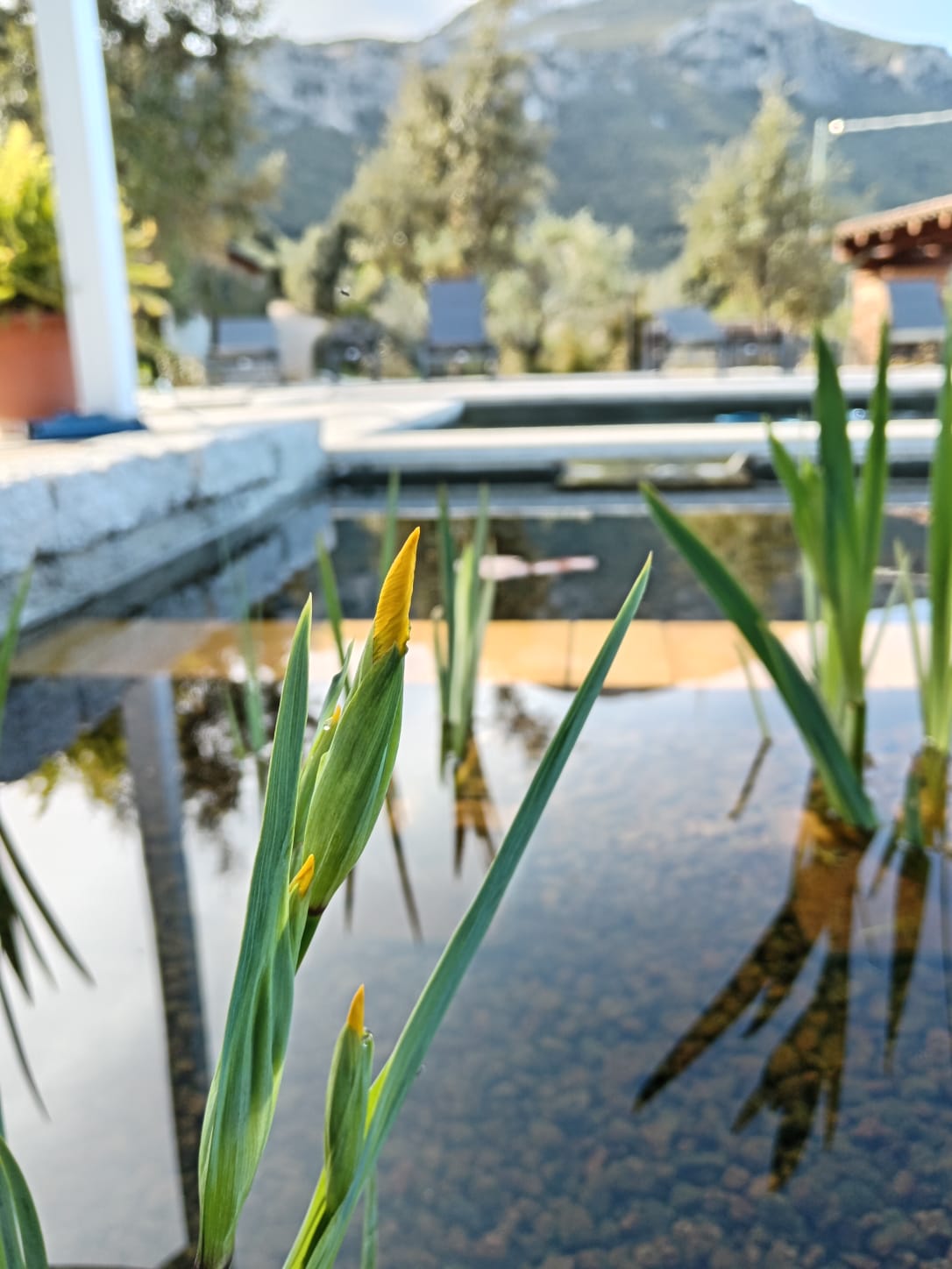 Casa Piredda Icore Biopiscina Eco-friendly in Sardegna